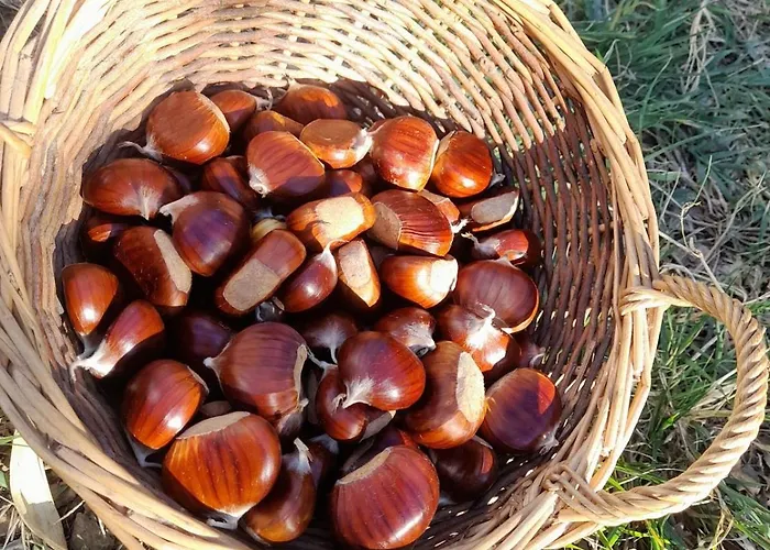 Hébergement de vacances Maison Entre Mer Et Montagne *